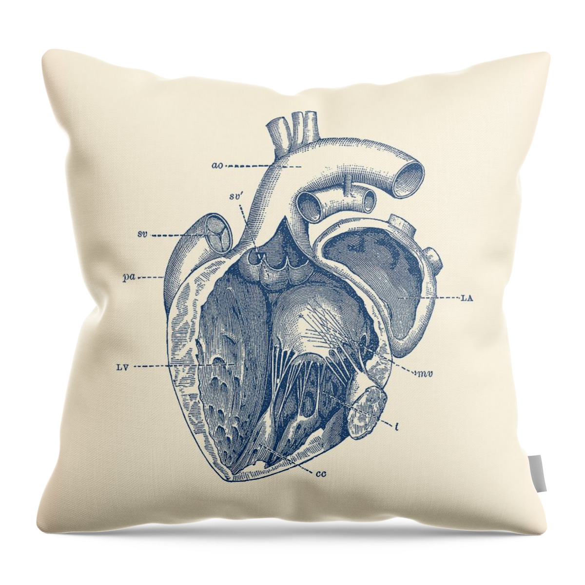 Vintage Throw Pillow featuring the drawing Internal Human Heart Diagram - Anatomy Poster by War Is Hell Store
