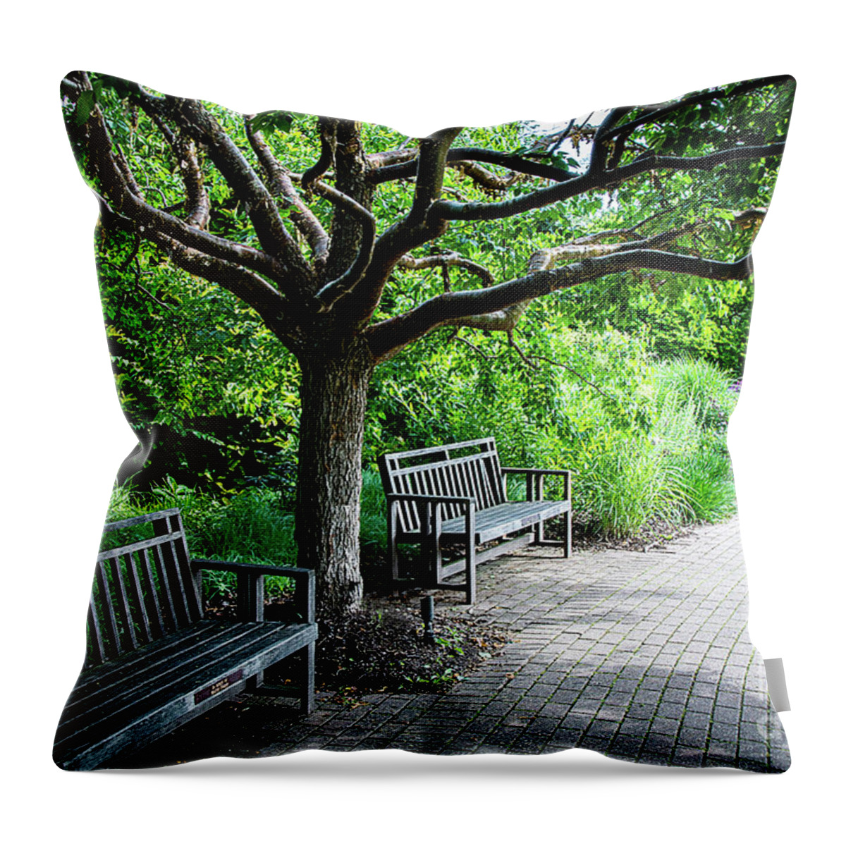 Outdoors Throw Pillow featuring the photograph Intertwined by Deborah Klubertanz