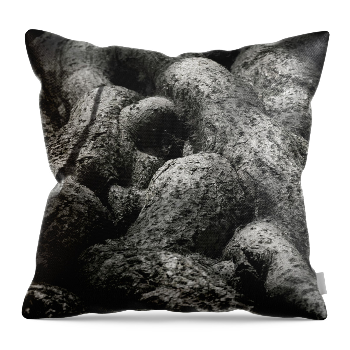Intertwined Throw Pillow featuring the photograph Intertwined by Wim Lanclus