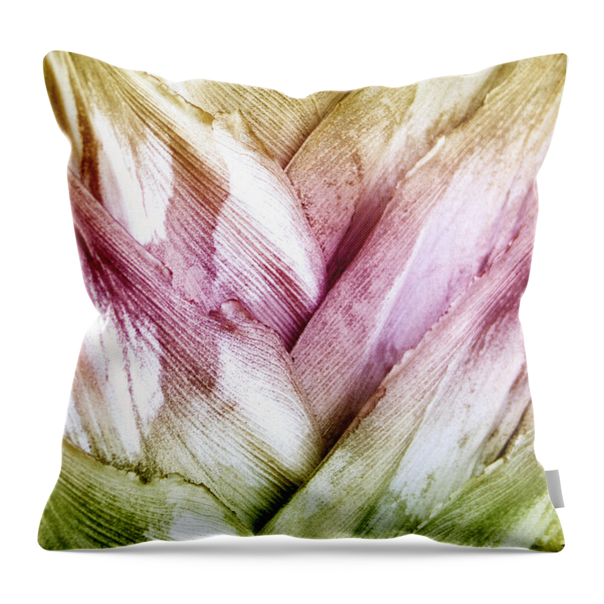 Nature Throw Pillow featuring the photograph Interwoven Hues by Holly Kempe