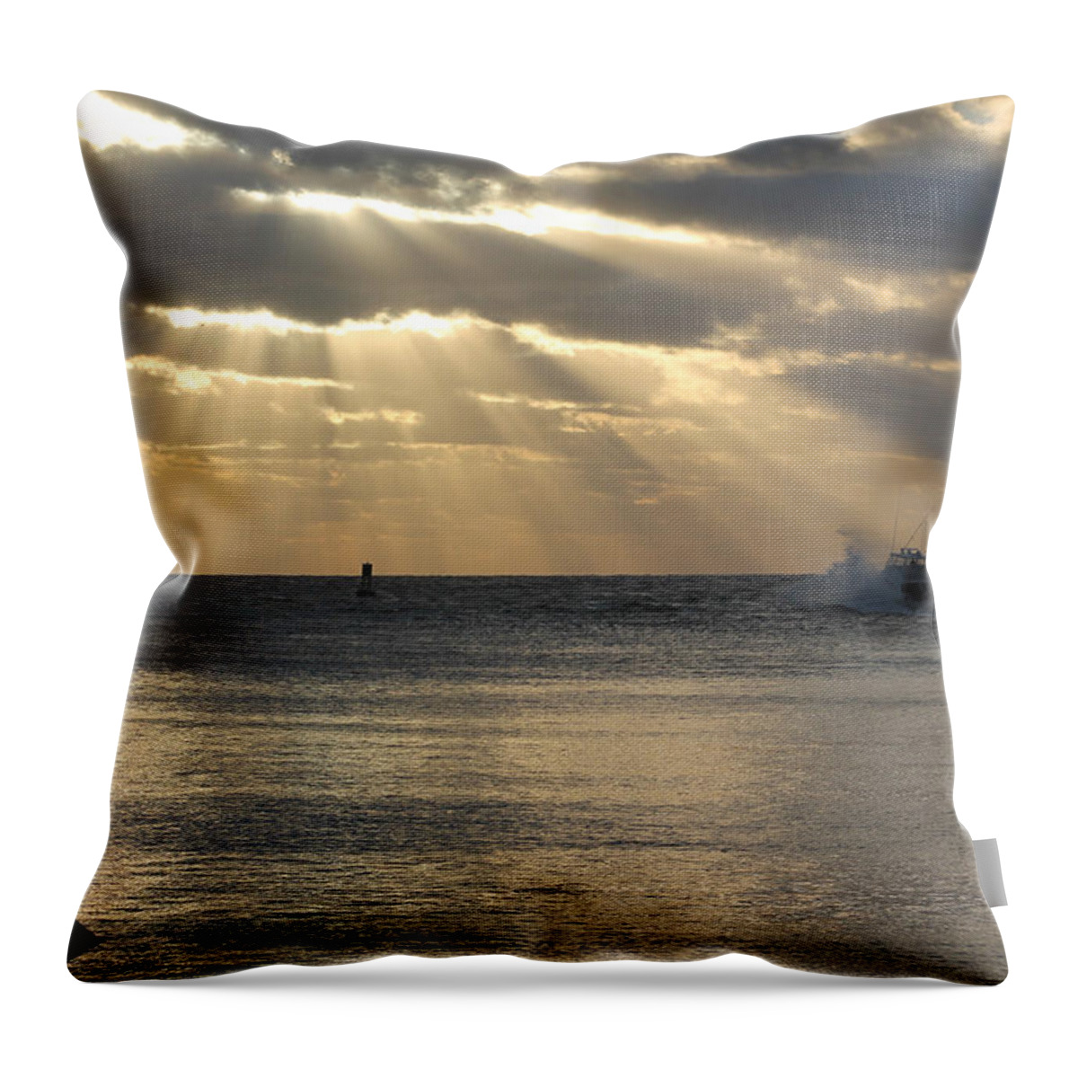 Sun Throw Pillow featuring the photograph Into Dawn's Early Rays by Robert Banach