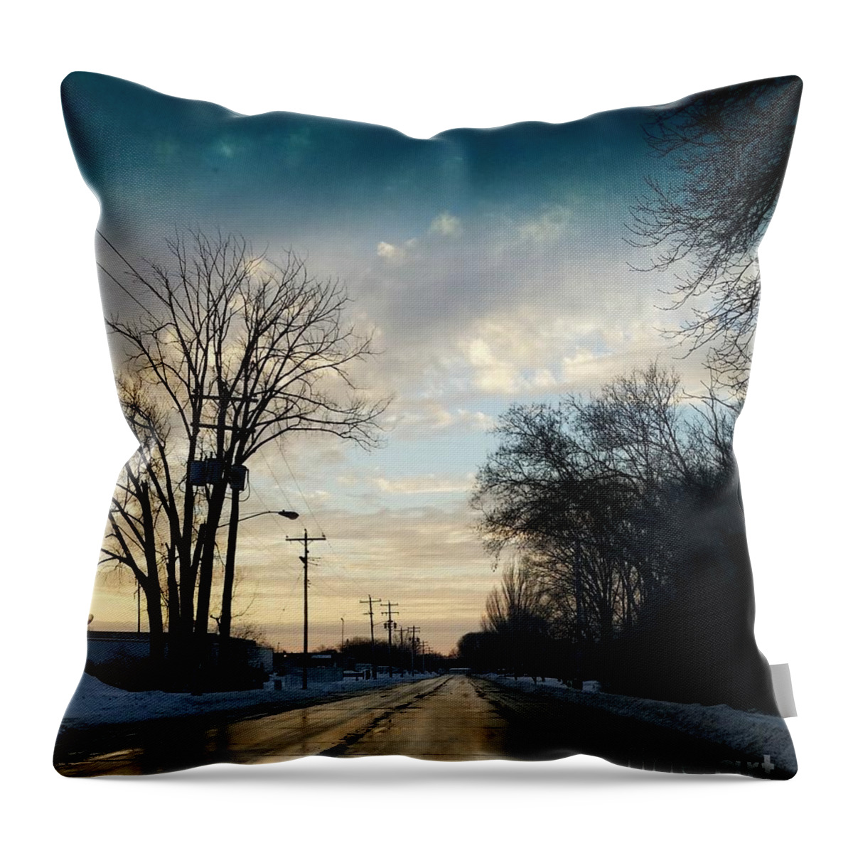 Trees Throw Pillow featuring the photograph Into New Country by Diamante Lavendar
