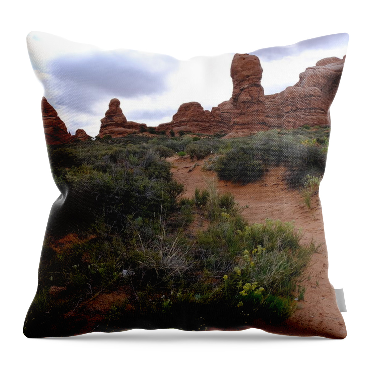 Landscape Throw Pillow featuring the photograph Into the desert by Jessica Myscofski