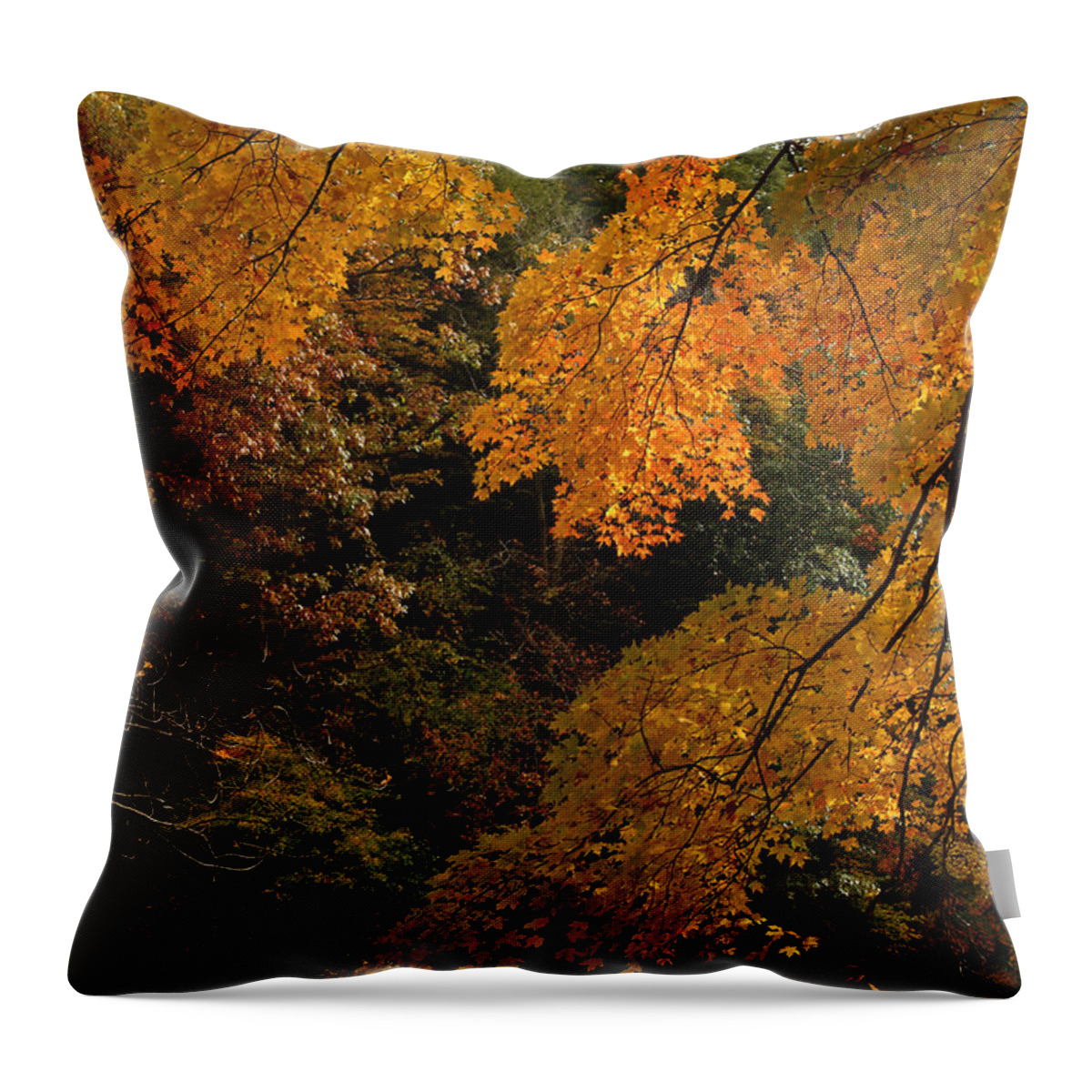 Autumn Throw Pillow featuring the photograph Into the Fall by Michael McGowan