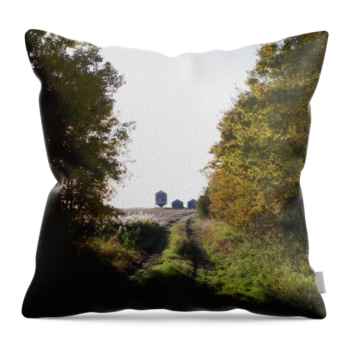 Fall Throw Pillow featuring the photograph Into the Fields by Ellery Russell
