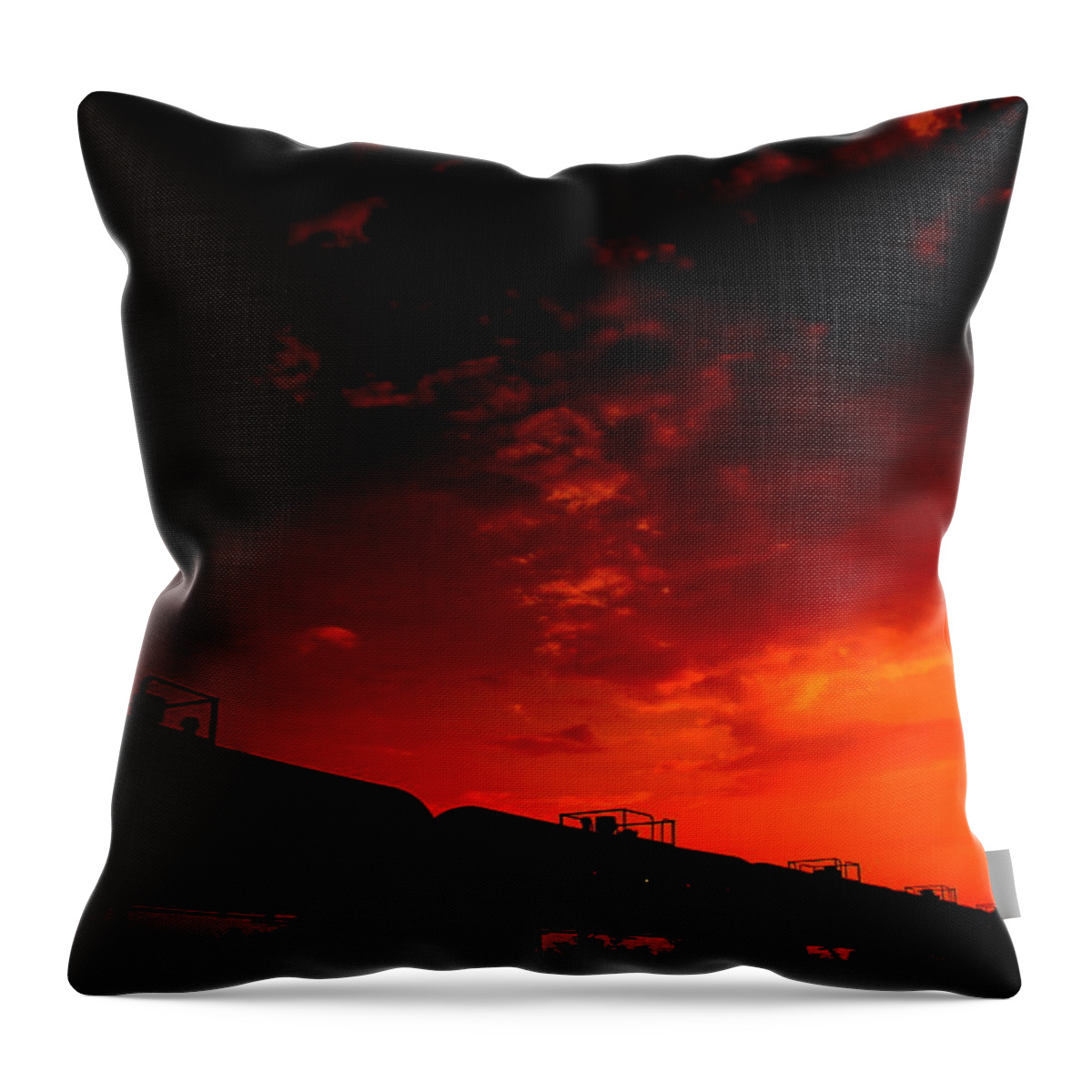 Into The Fire Throw Pillow featuring the photograph Into The Fire by Edward Smith