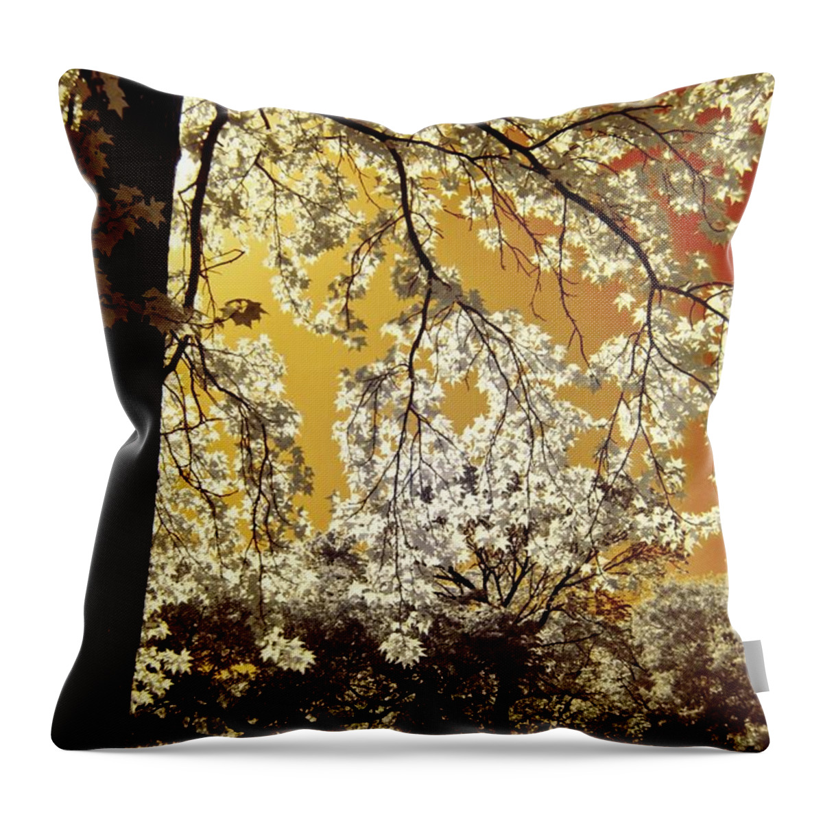 Infrared Throw Pillow featuring the photograph Into the Golden Sun by Linda Unger