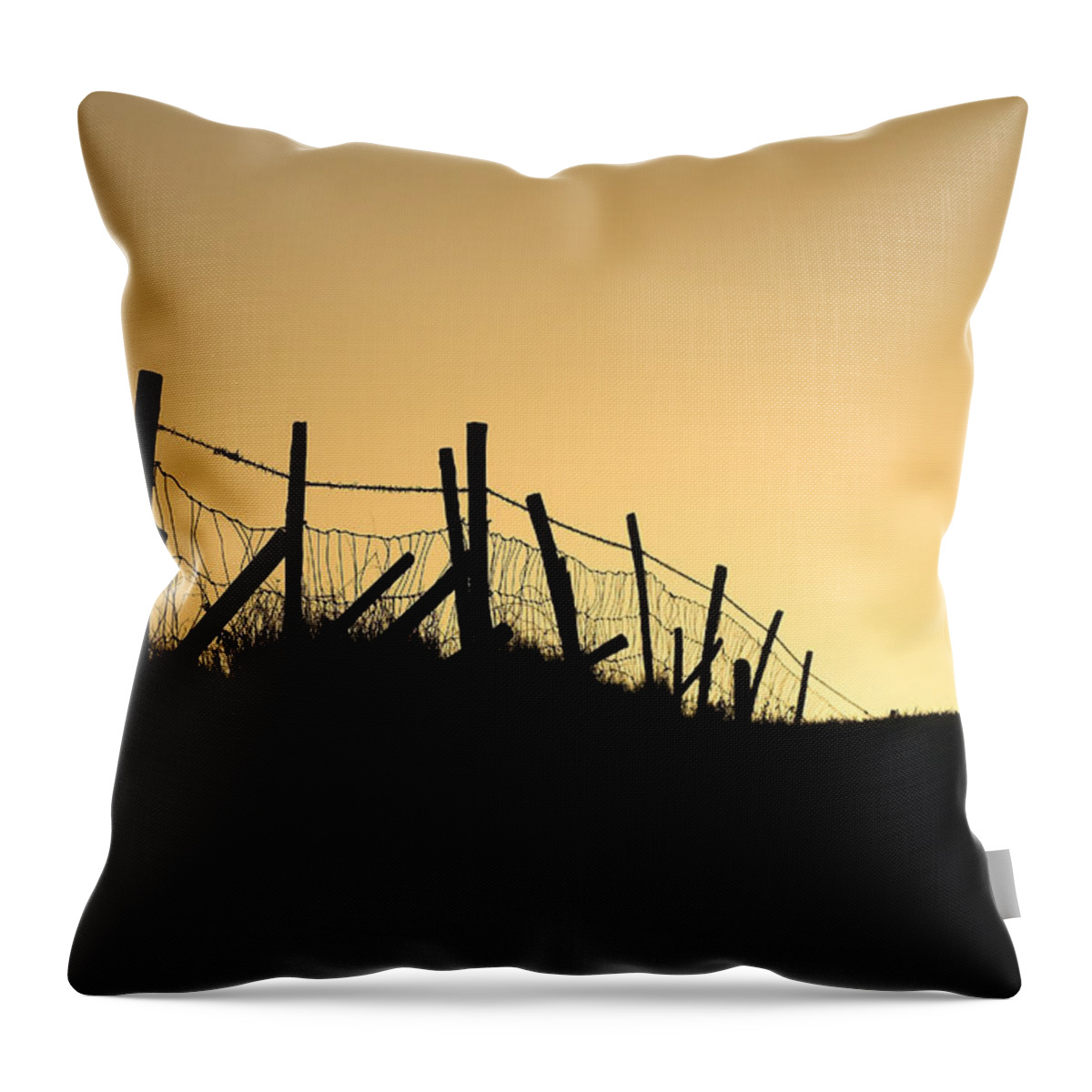 Into Throw Pillow featuring the photograph Into the light by Hazy Apple