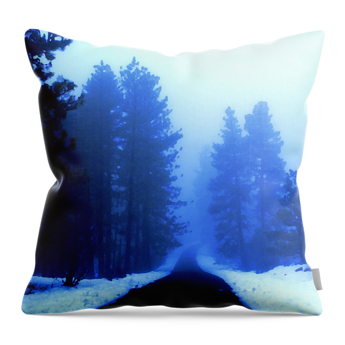 Photo Art Throw Pillow featuring the photograph Into the Misty Unknown by Ben Upham III