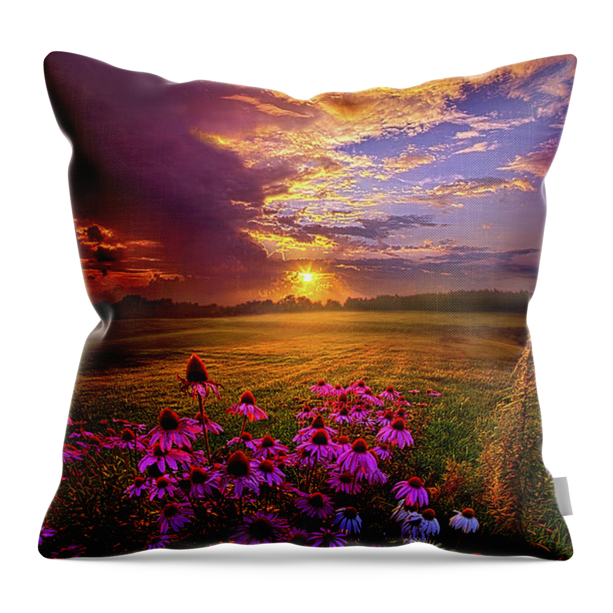 Wisconsin Throw Pillow featuring the photograph Into The Moment by Phil Koch