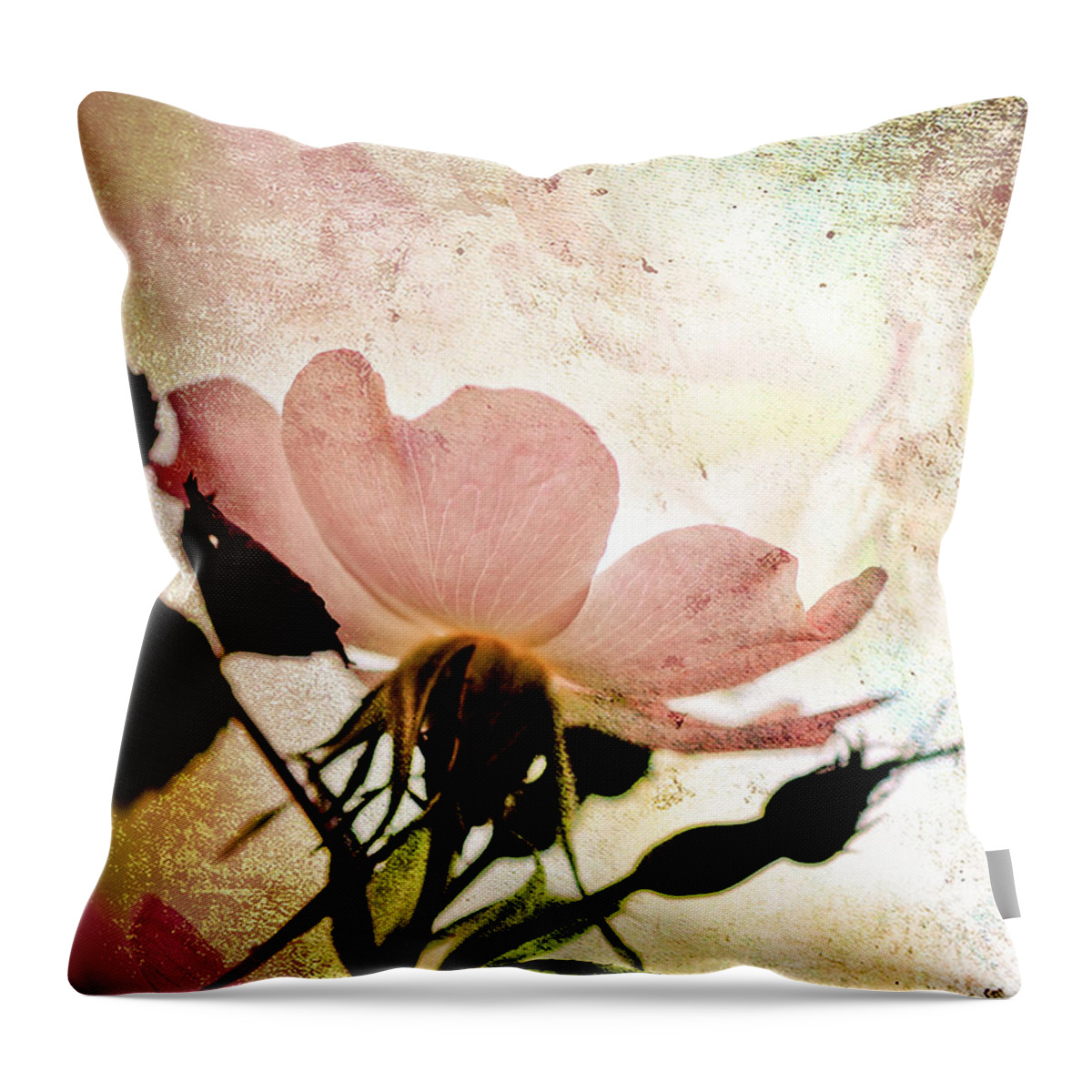 Wild Rose Throw Pillow featuring the photograph Into the Mystic by Elaine Manley