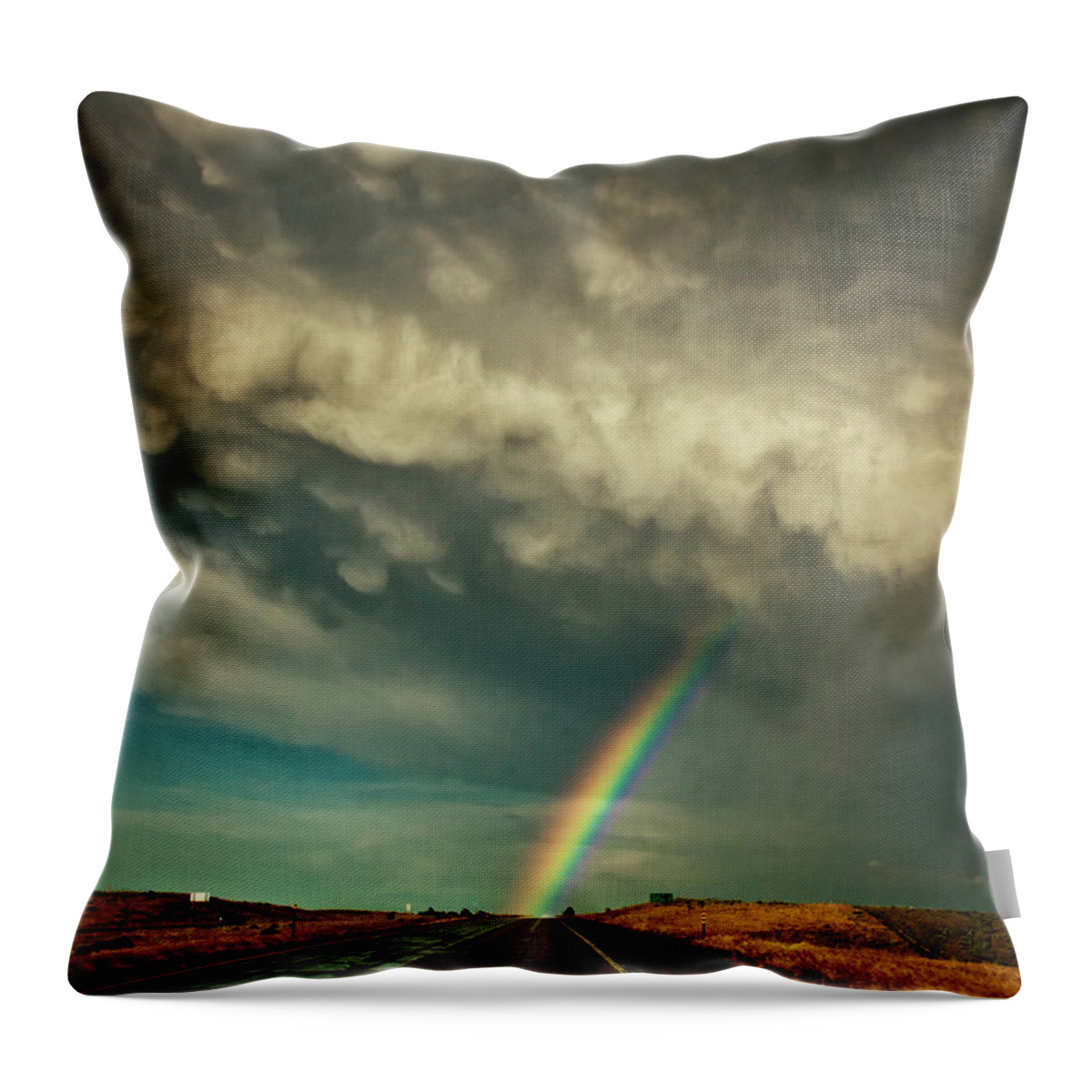 Colorado Throw Pillow featuring the photograph Into The Storm by John De Bord