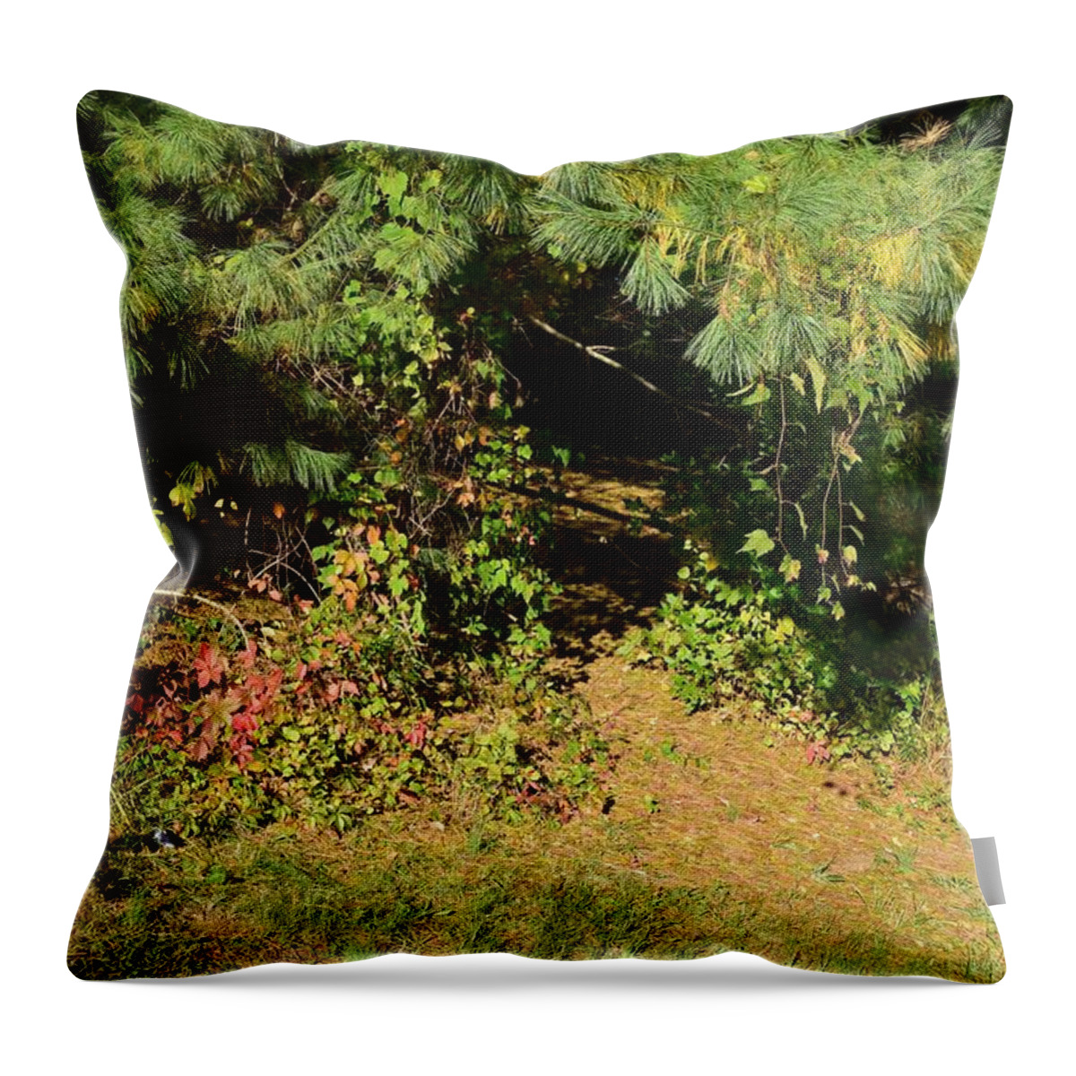  Throw Pillow featuring the photograph Into the Unknown 1 by R Allen Swezey