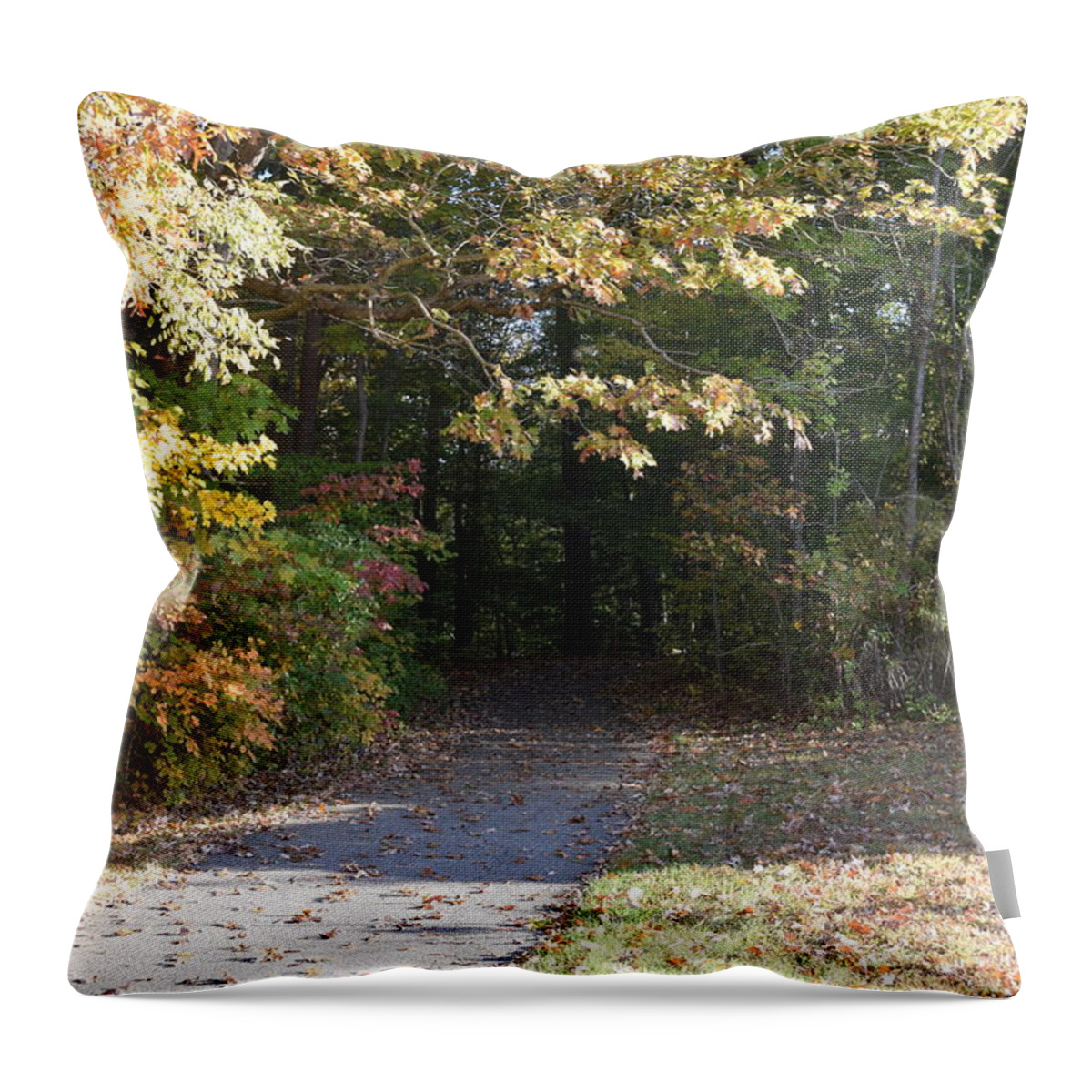  Throw Pillow featuring the relief Into the Unknown 3 by R Allen Swezey