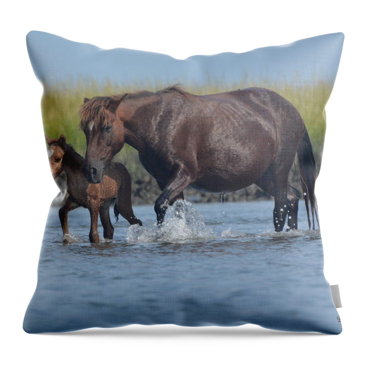 Island Horse Throw Pillow featuring the photograph Into the Waters by Dan Williams