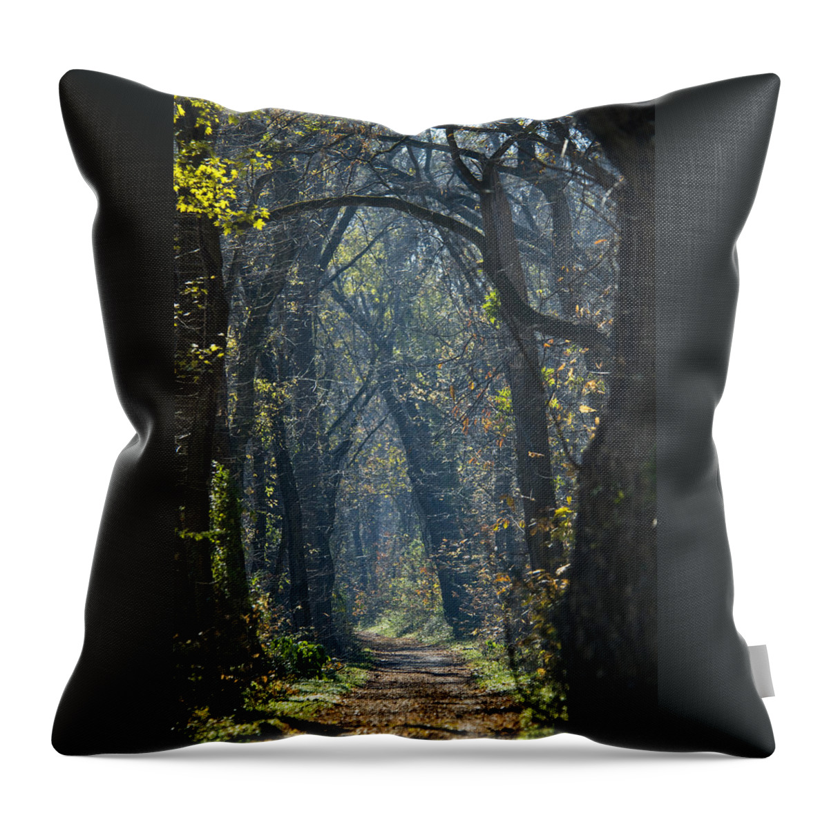 American Throw Pillow featuring the photograph Into The Wood by Brian Green
