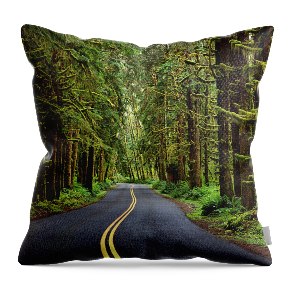 Curve Throw Pillow featuring the photograph Into the Woods by David Andersen