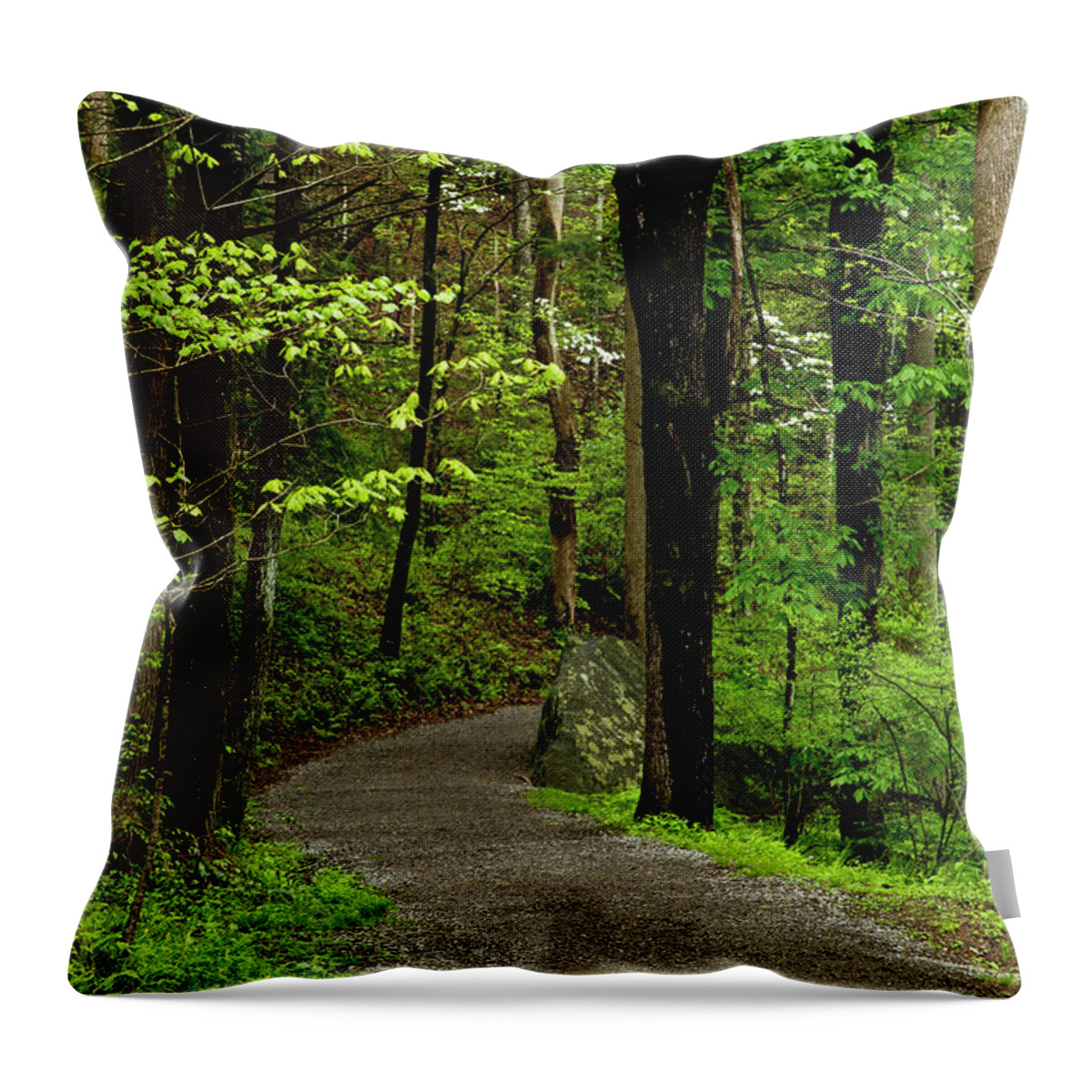 Paths Throw Pillow featuring the photograph Into the Woods by Kathy McClure