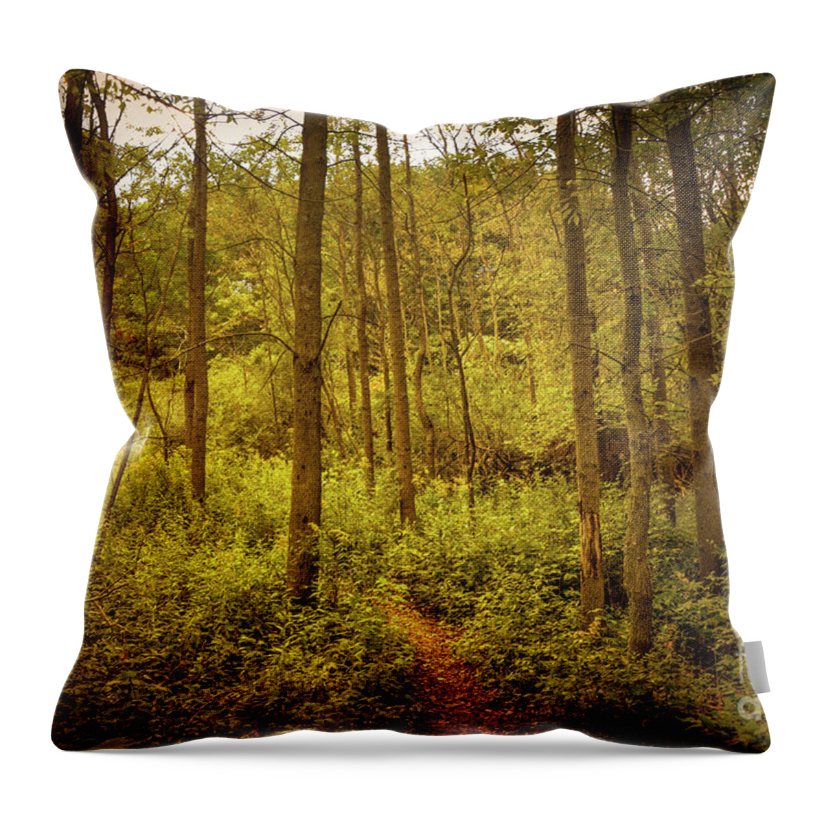 Into The Woods Throw Pillow featuring the photograph Into The Woods by Mary Machare