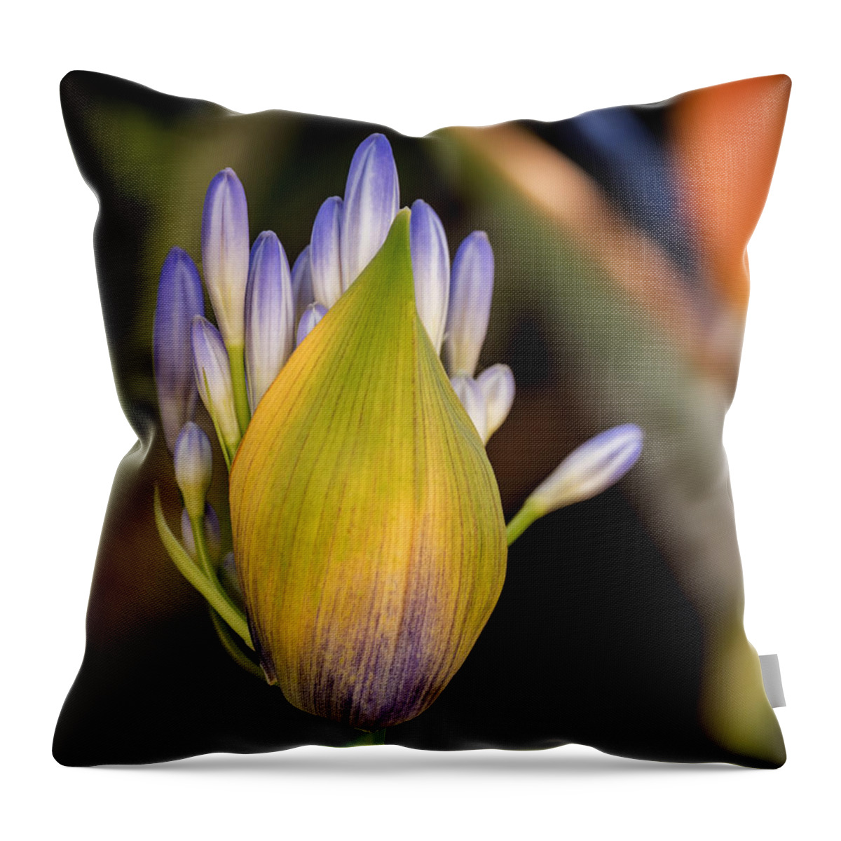 Flowers Throw Pillow featuring the photograph Into the World by Derek Dean