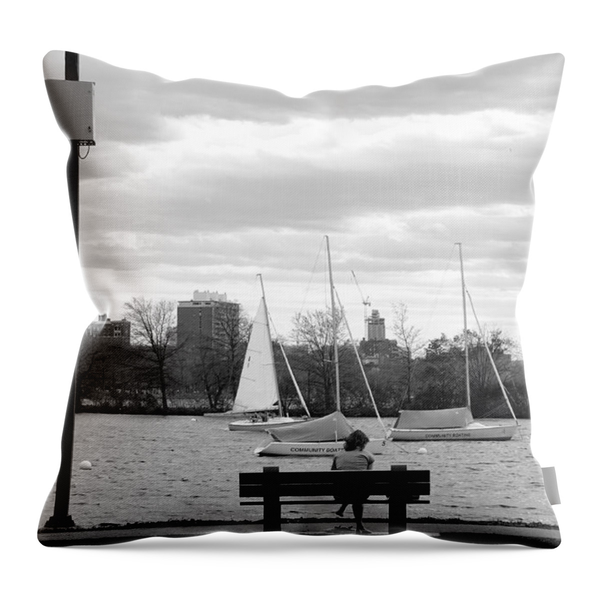 River Throw Pillow featuring the photograph Introspection on the Charles by Christopher Brown