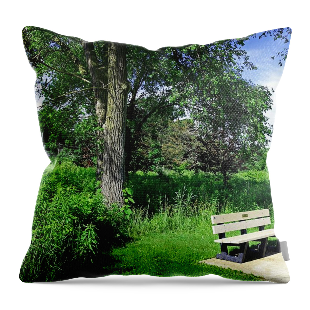 Trees Throw Pillow featuring the photograph Introspective Analysis by Michiale Schneider
