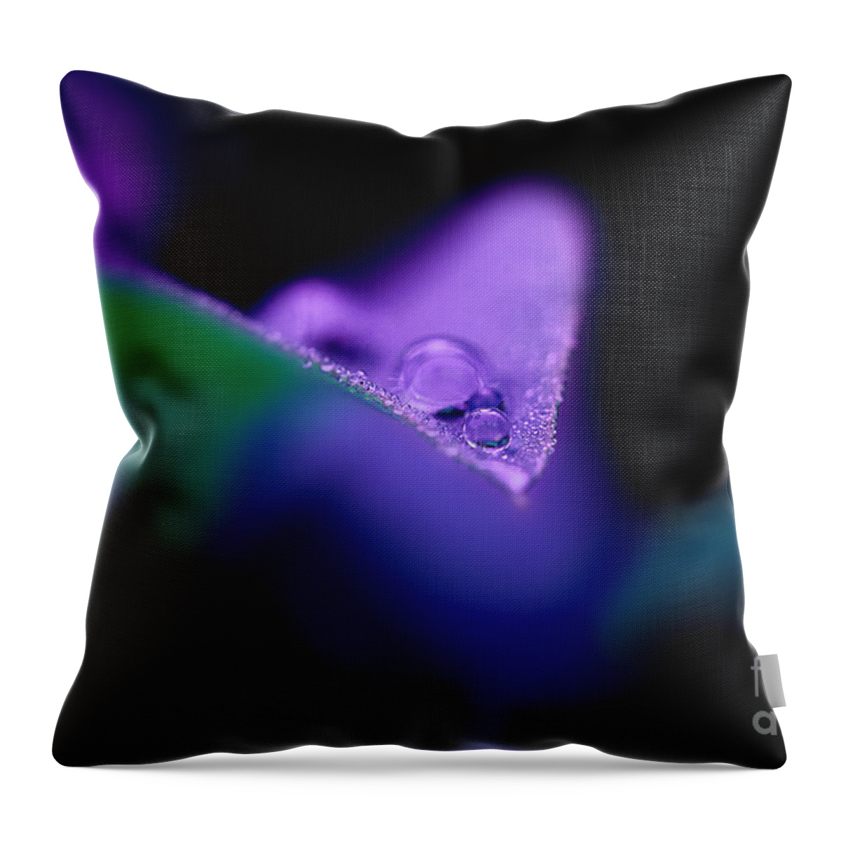 Leaf Throw Pillow featuring the photograph Invisible Edge by Michael Eingle