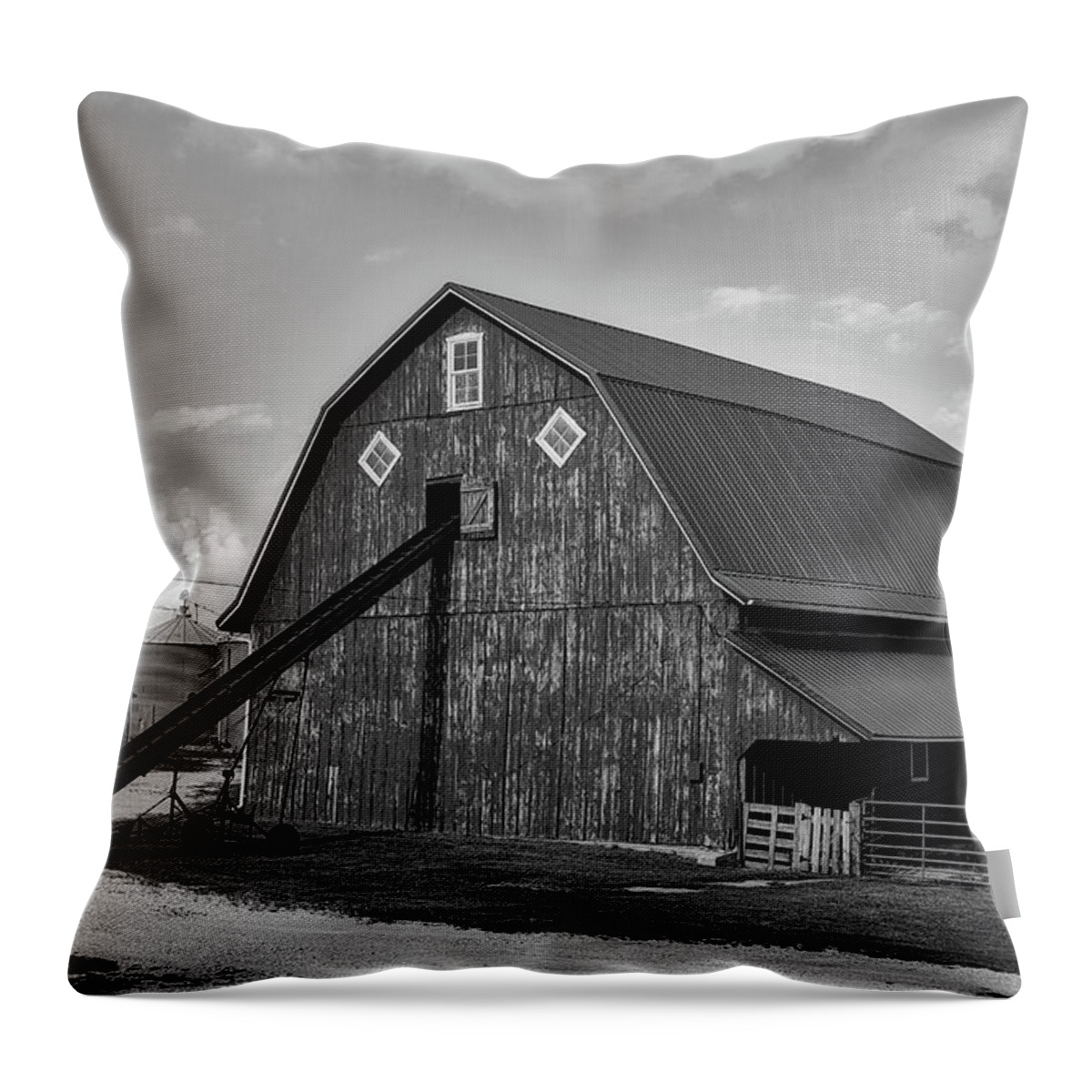 Iowa Throw Pillow featuring the photograph Iowa Farm Scene by Mountain Dreams