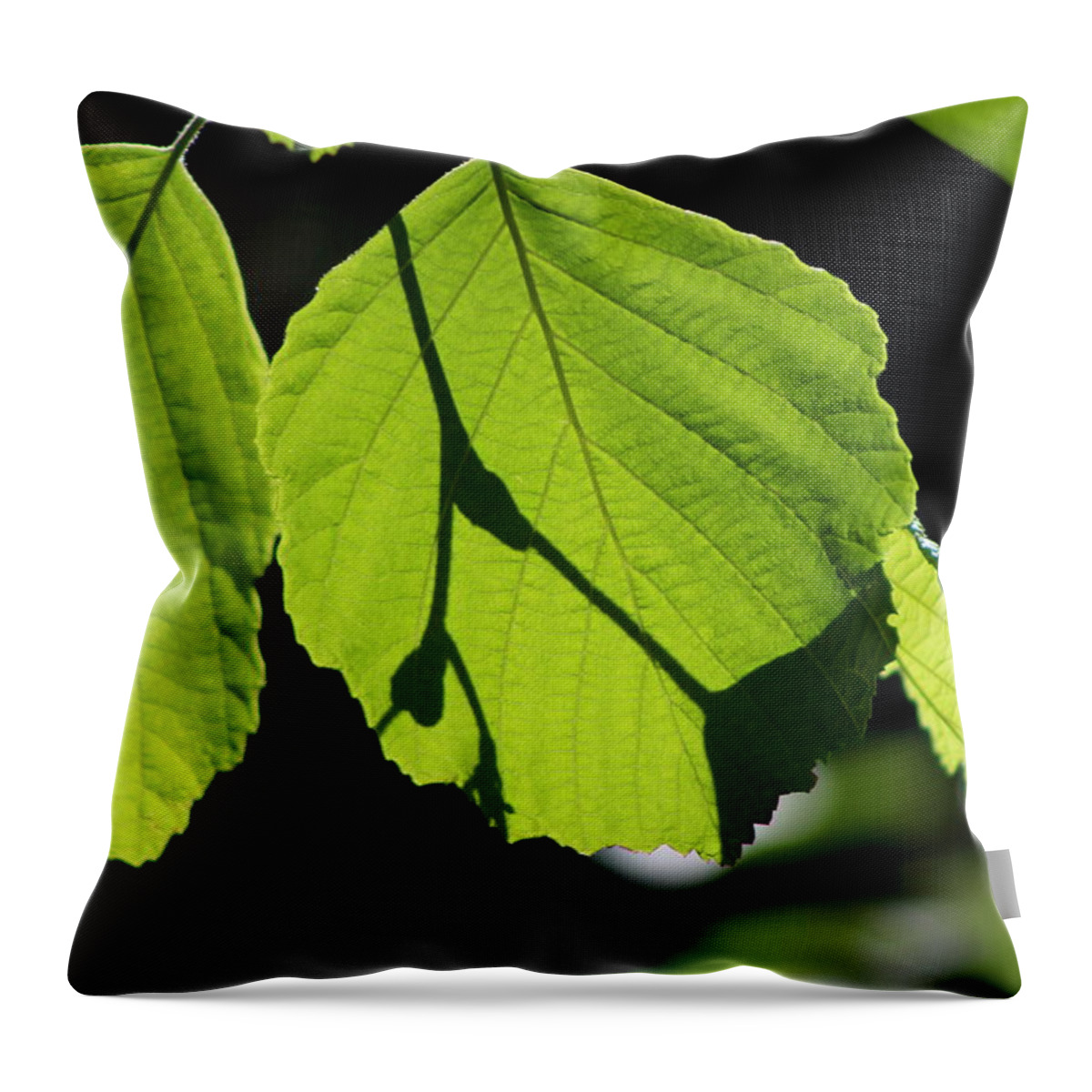 Bright Green Throw Pillow featuring the photograph Iridescent Glow - Beechnut Leaves by Colleen Cornelius