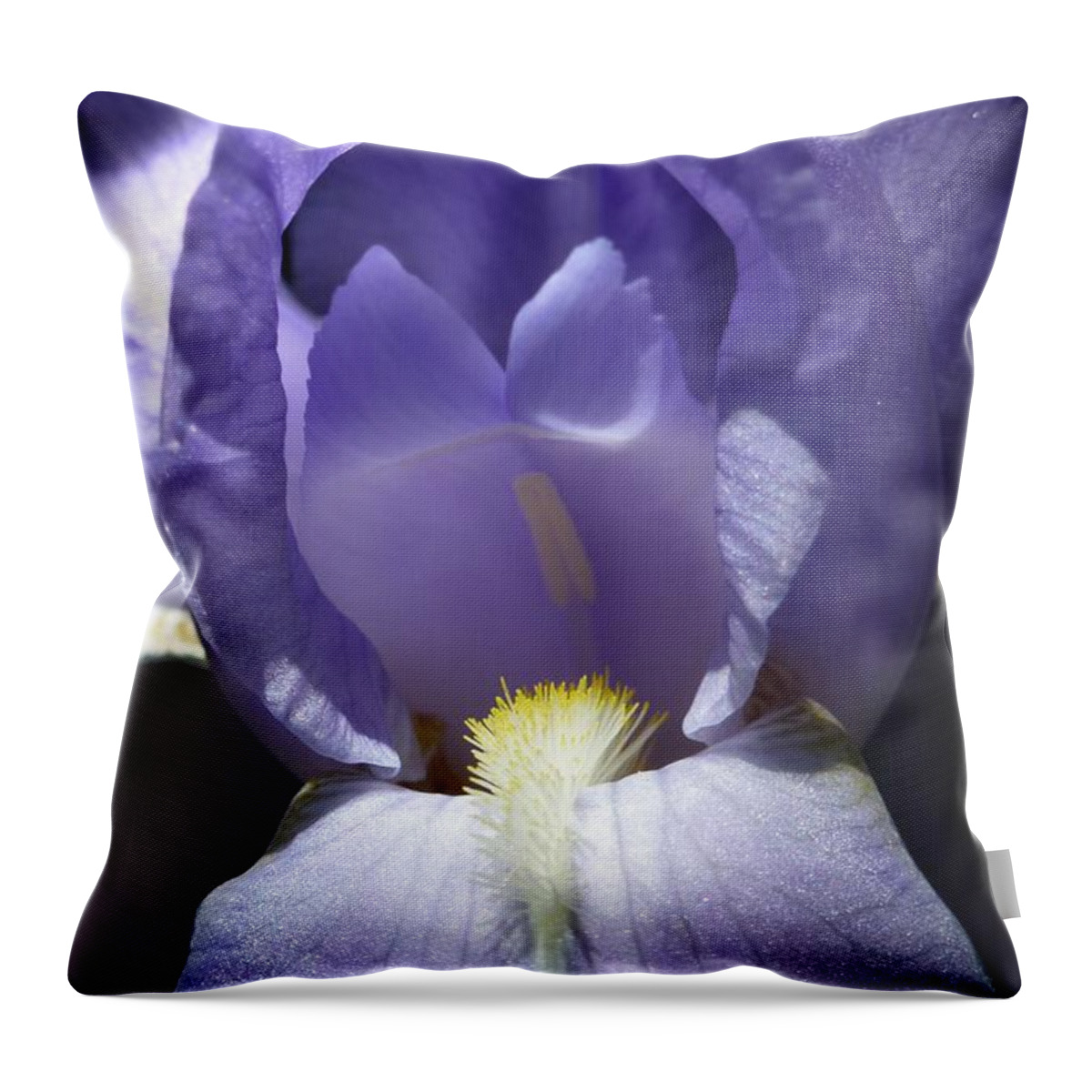 Beautiful Throw Pillow featuring the photograph Iris 2 by Jean Bernard Roussilhe