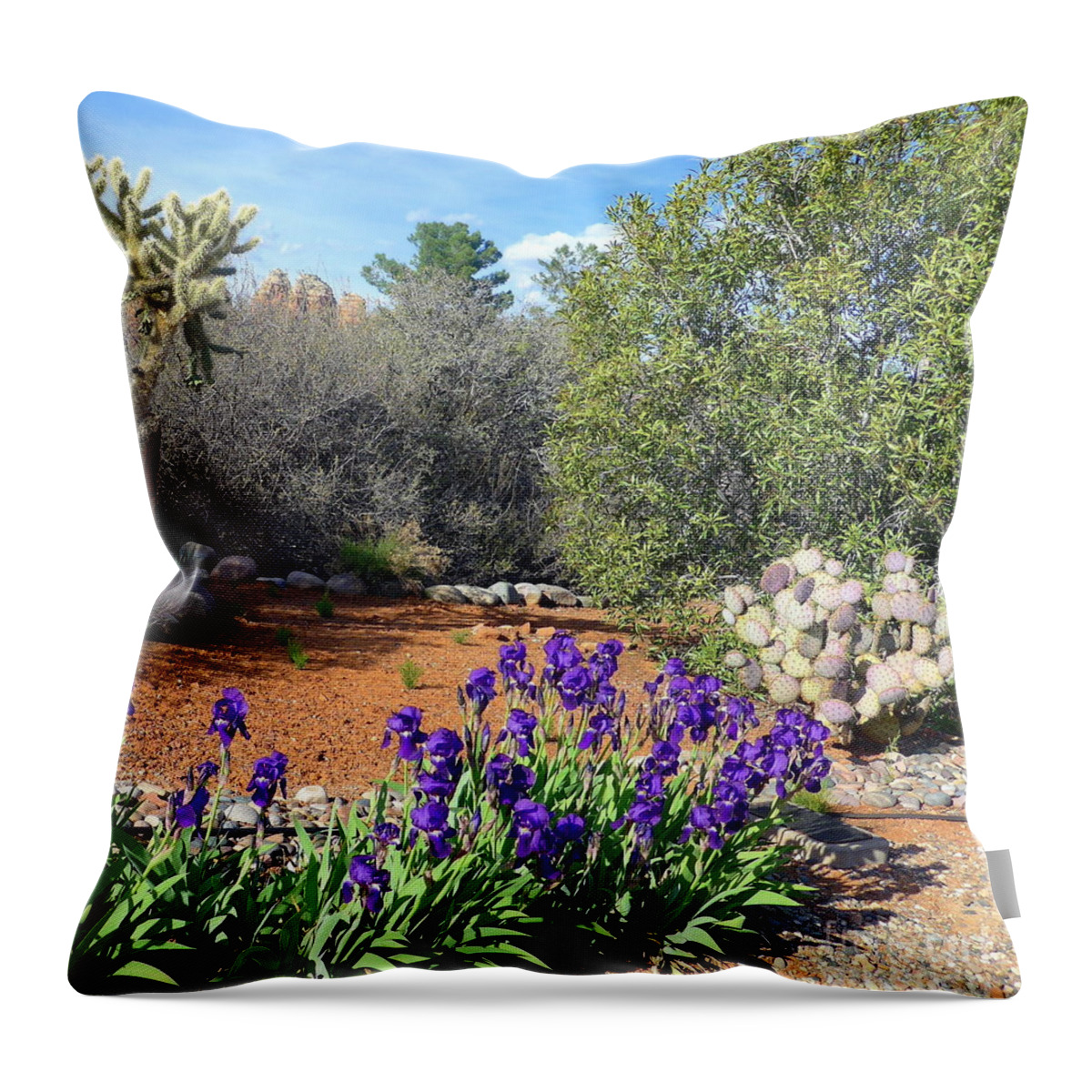 Sedona Throw Pillow featuring the photograph Iris and Cactus Sedona Spring by Mars Besso