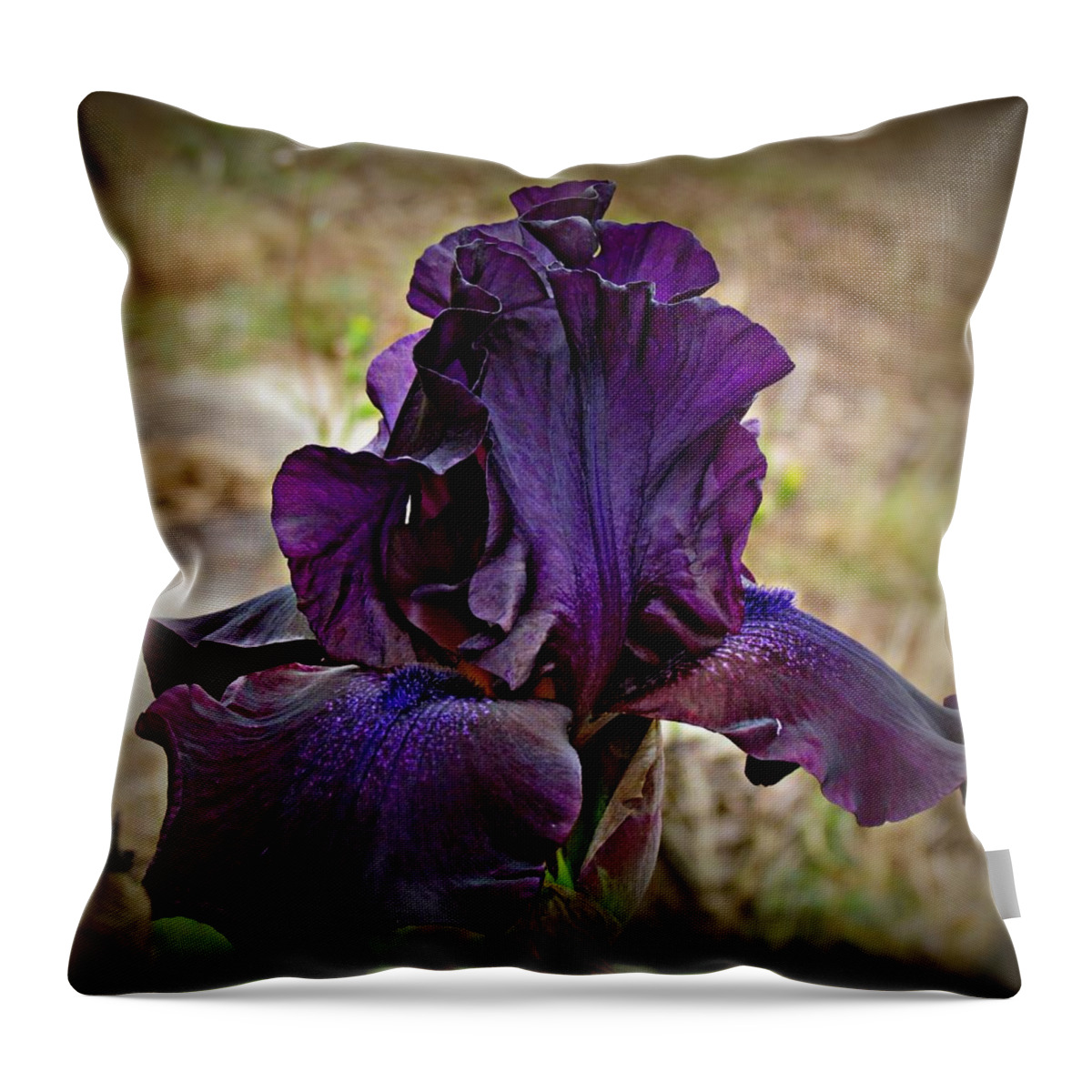 Purple Throw Pillow featuring the photograph Iris Beauty by KATIE Vigil