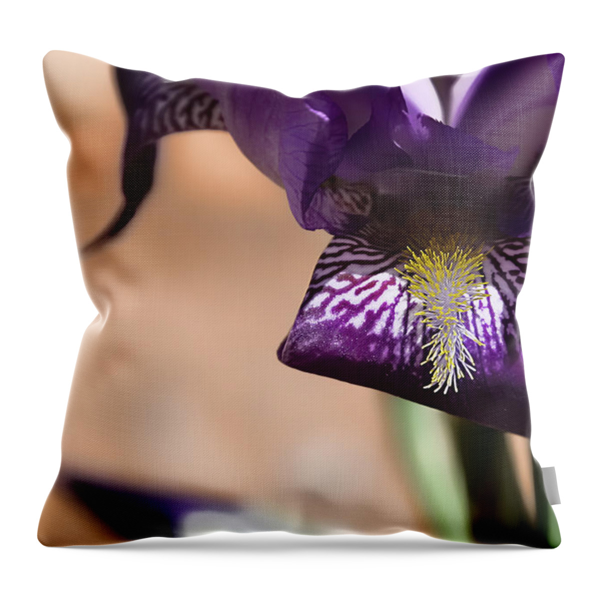 Iris Throw Pillow featuring the photograph Iris gemanica by Patricia Montgomery