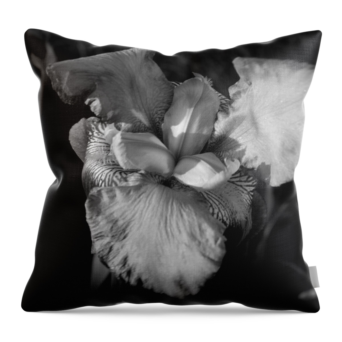 Iris Throw Pillow featuring the photograph Iris in Black and White by Jean Evans