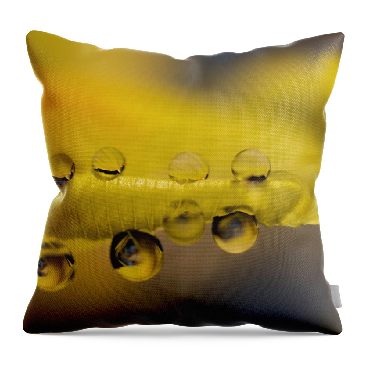 Wolfgang Stocker Throw Pillow featuring the photograph Iris petal with water drops by Wolfgang Stocker