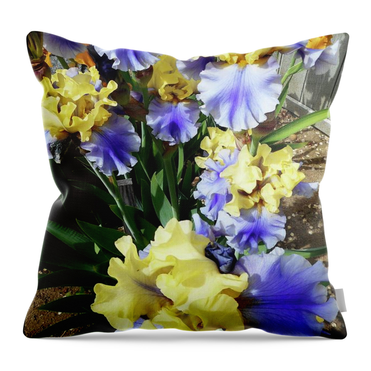 Iris Throw Pillow featuring the photograph Irises 11 by Ron Kandt