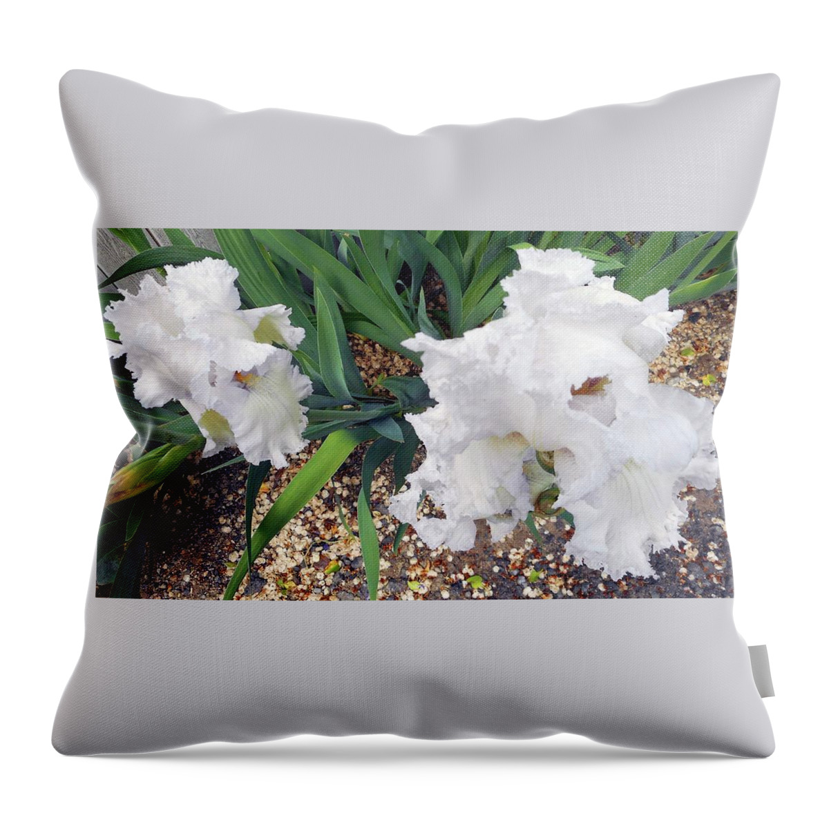 Iris Throw Pillow featuring the photograph Irises 2 by Ron Kandt