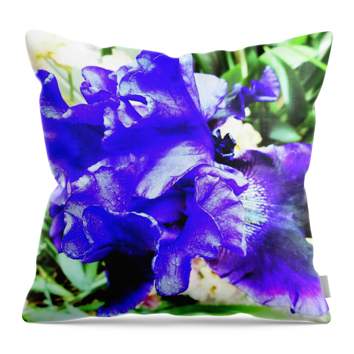 Iris Throw Pillow featuring the photograph Irises 20 by Ron Kandt