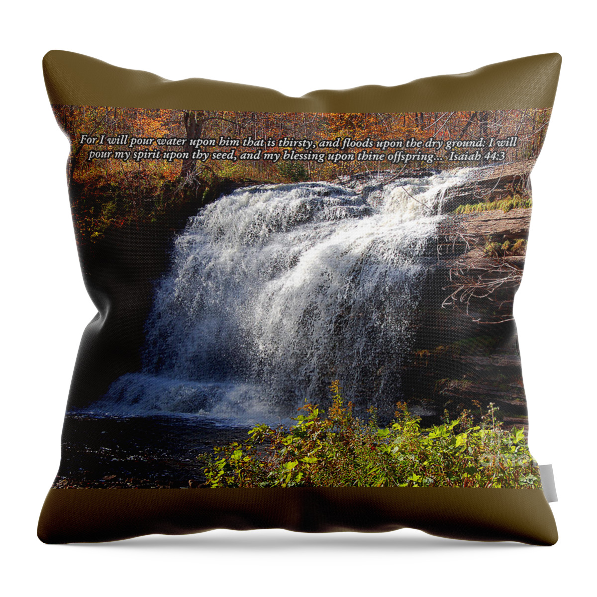 Diane Berry Throw Pillow featuring the photograph Isaiah 44 by Diane E Berry