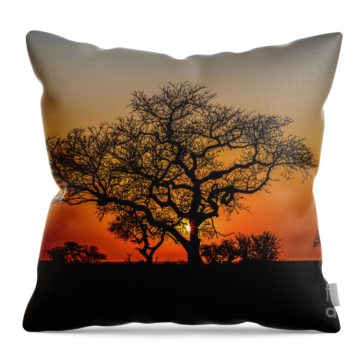 African Throw Pillow featuring the photograph Isimangaliso Wetland Park by Benny Marty