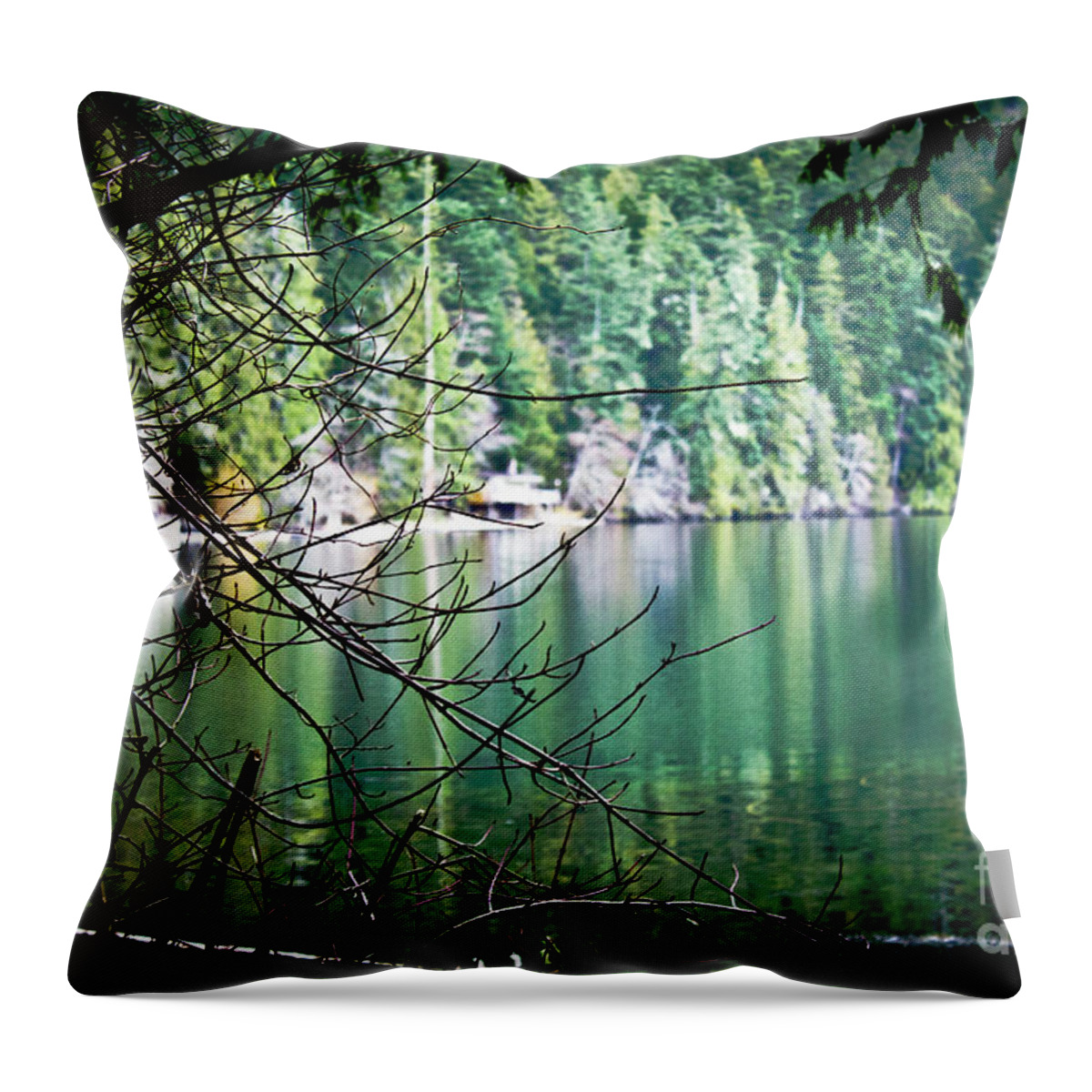 Vancouver Island Throw Pillow featuring the photograph Lake Cathedral Grove by Donna L Munro