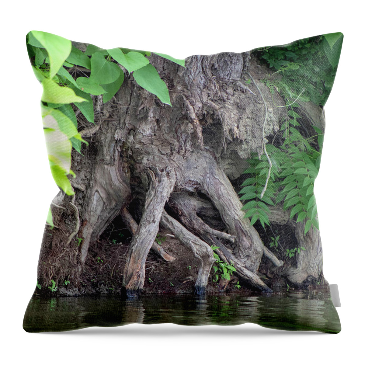  Throw Pillow featuring the photograph Island Tree by Brian Jones