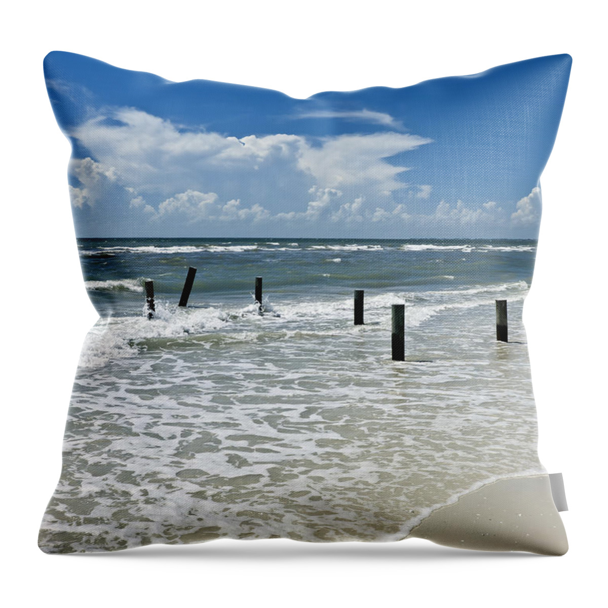 Wooden Post Throw Pillow featuring the photograph Isn't life wonderful? by Melanie Viola