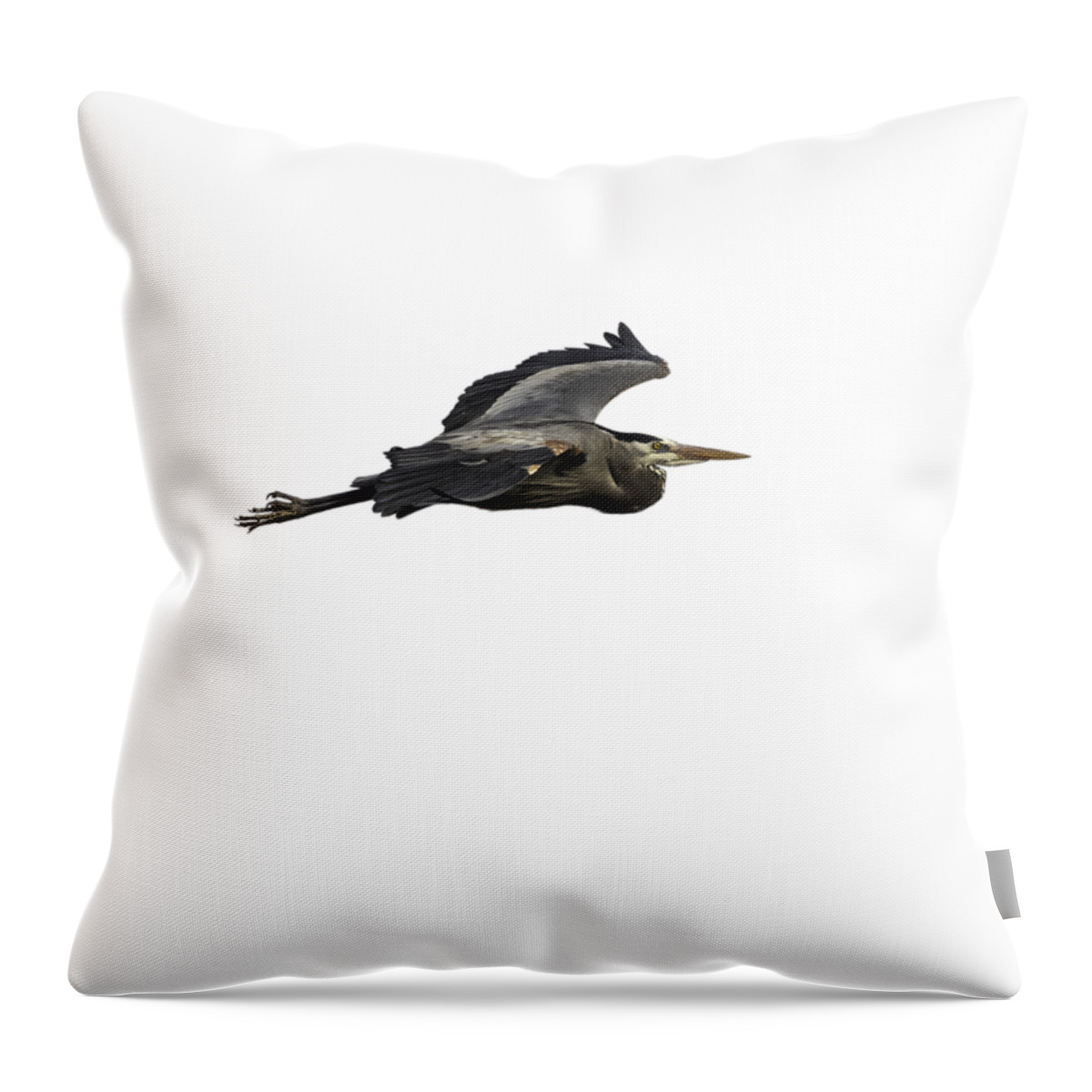 Great Blue Heron Throw Pillow featuring the photograph Isolated Great Blue Heron 2015-2 by Thomas Young