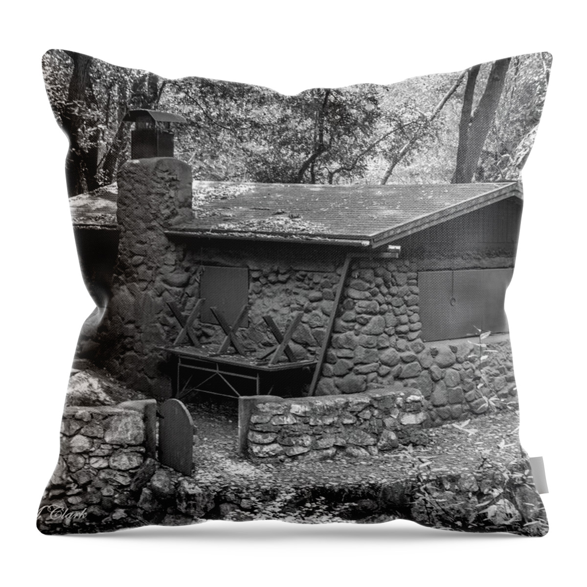 Woods Throw Pillow featuring the photograph Isolation by Ed Clark