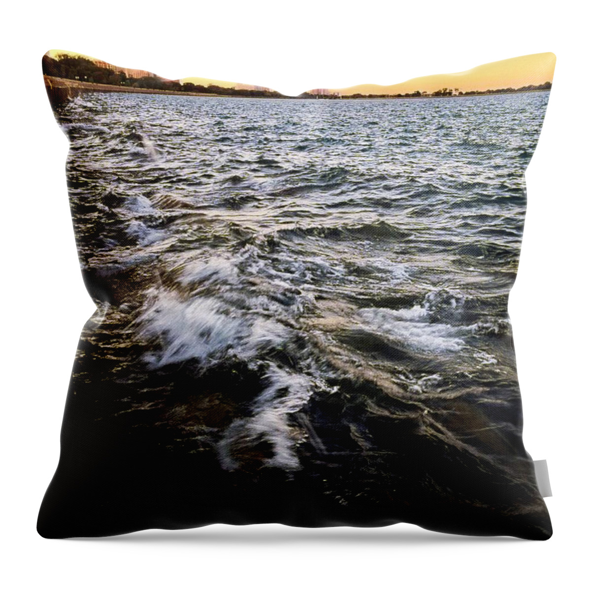 Wisdom Throw Pillow featuring the photograph It is Easier to be Wiser for Others than For Ourselves by Nick Heap