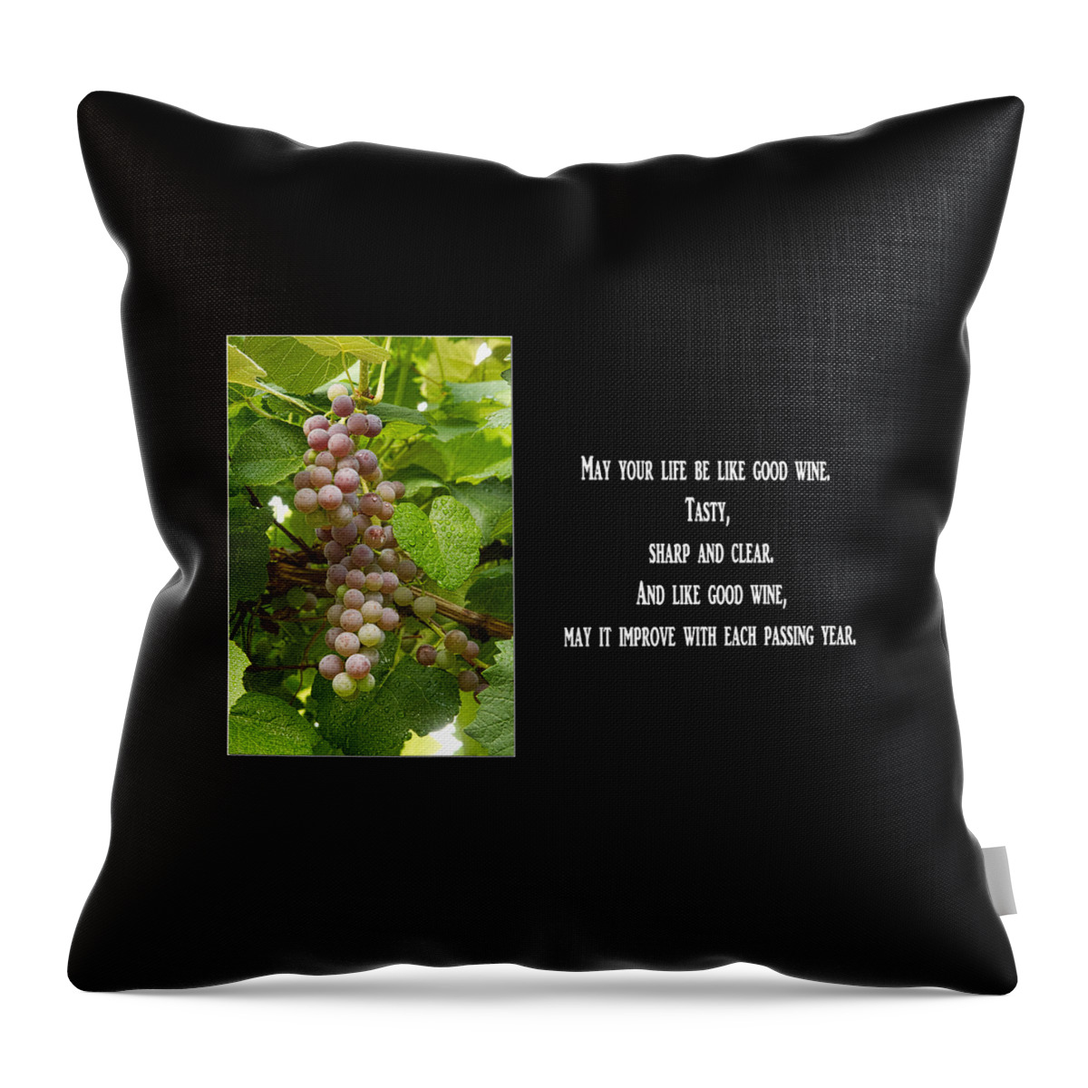 Italian Blessing Throw Pillow featuring the photograph Italian Blessing by James BO Insogna