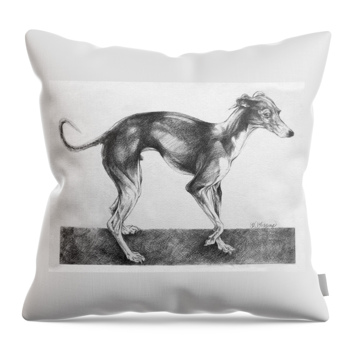 Italian Greyhound Throw Pillow featuring the drawing Italian Greyhound by Derrick Higgins