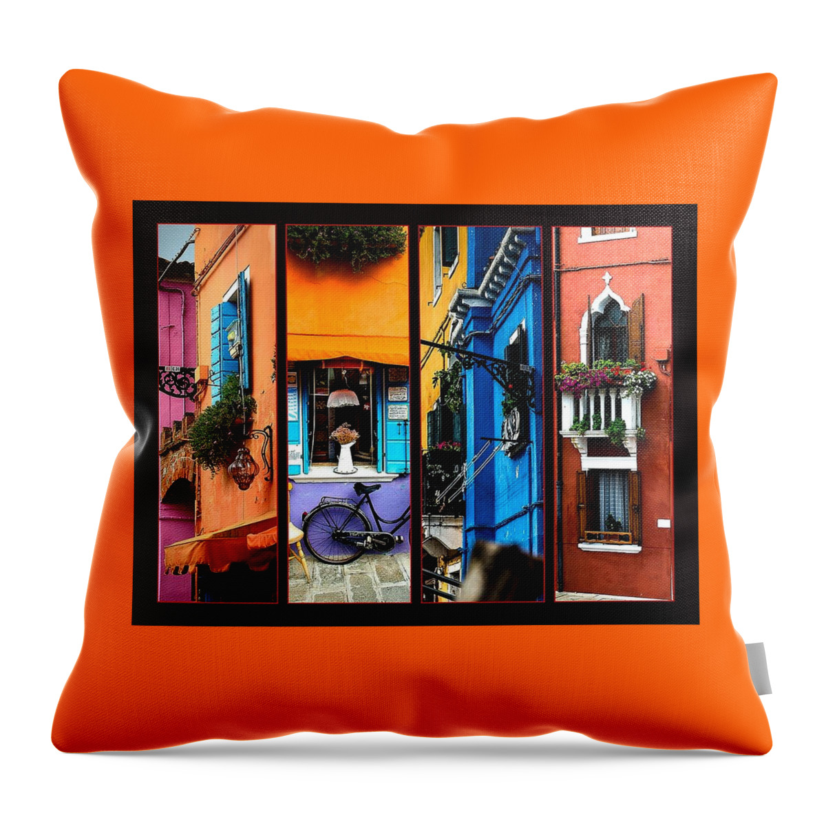 Rural Throw Pillow featuring the painting Italy no. 1 L B by Gert J Rheeders