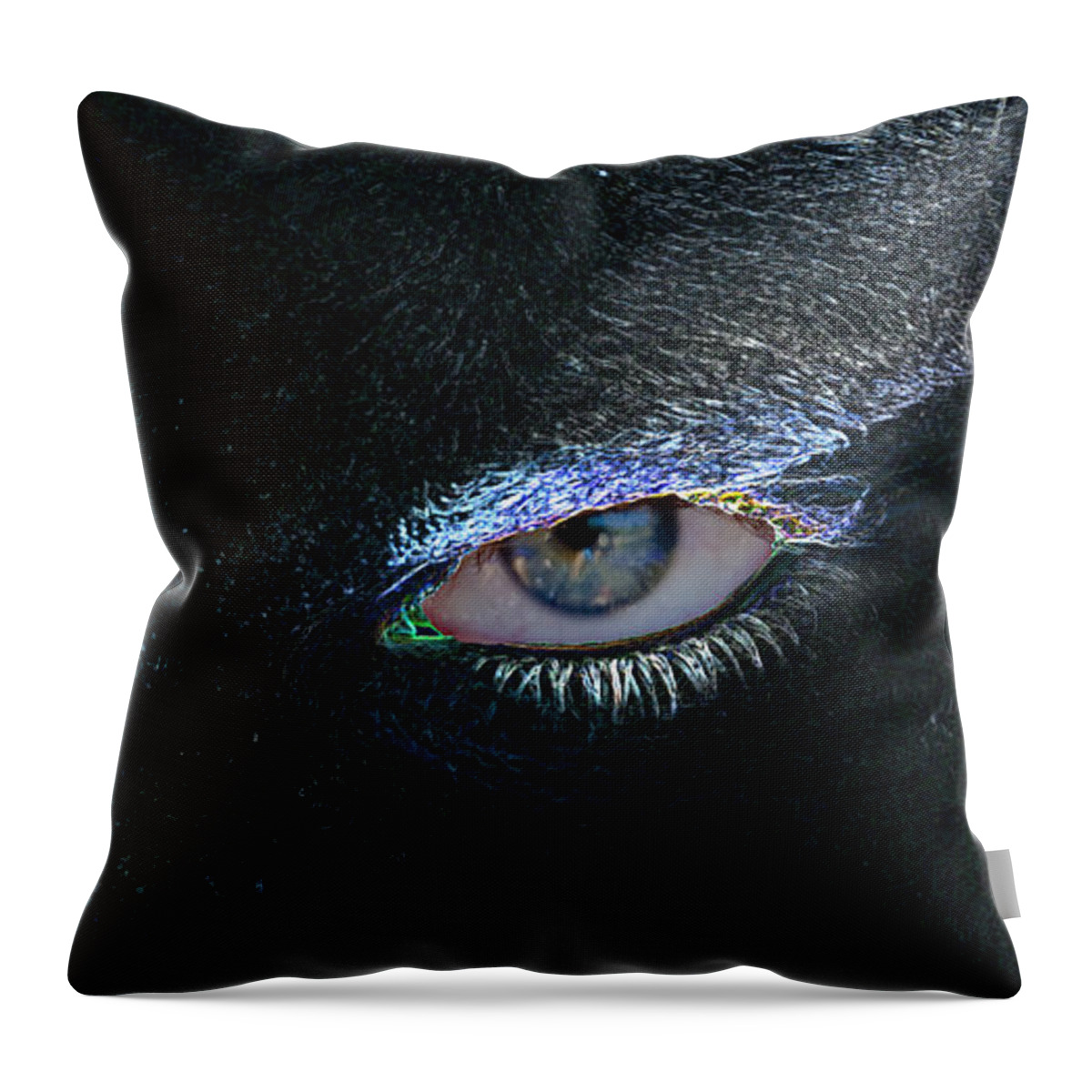 Terry Anderson Throw Pillow featuring the photograph It's All In The Eyes by Terry Anderson